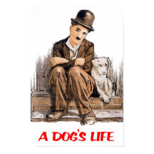Ein Hundeleben Charlie Chaplin 1918 Klassiker Film