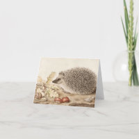 Ein Igel in der Landschaft von Giovanna Garzoni