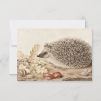 Ein Igel in der Landschaft von Giovanna Garzoni