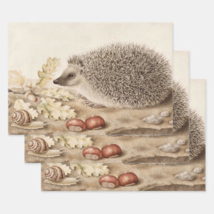 Ein Igel in der Landschaft von Giovanna Garzoni Geschenkpapier Set