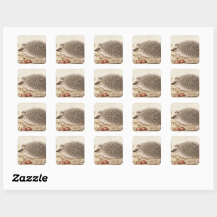 Ein Igel in einer Landschaft von Giovanna Garzoni Quadratischer Aufkleber
