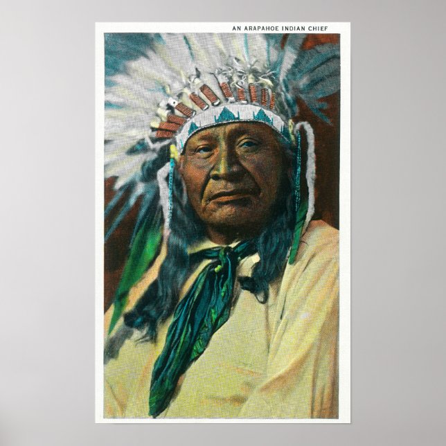 Ein indischer ChefportraitColorado Poster (Vorne)