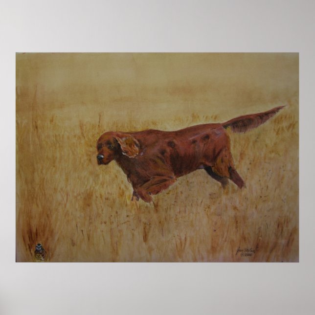 Ein irischer Feldtag Poster (Vorne)