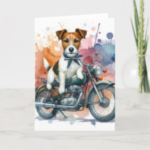 Ein Jack Russell auf einem Bike