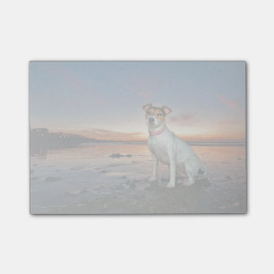 Ein Jack Russell Sitting Beach Brighton Beach Post-it Klebezettel