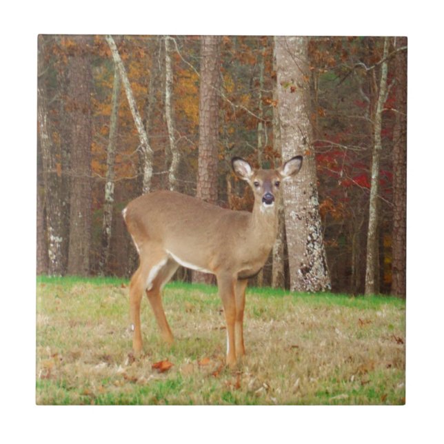 Ein Jägertraum Fliese (Vorderseite)