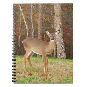 Ein Jägertraum Notizblock