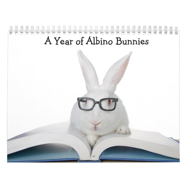 Ein Jahr Albino Bunnies Kalender (Titelbild)
