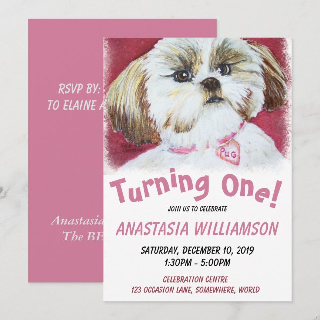 Ein Jahr alt schih Tzu einladen Einladung (Vorne/Hinten)