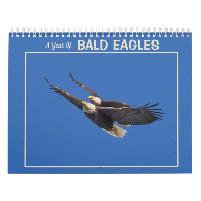 Ein Jahr der Adler Kalender (Titelbild)