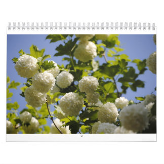 ein Jahr der Blumen Kalender
