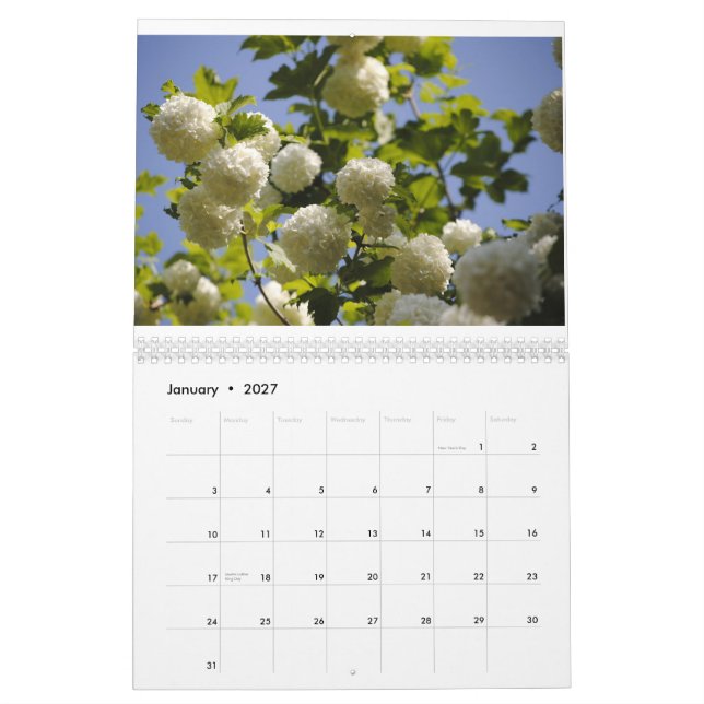 ein Jahr der Blumen Kalender (Jan 2027)