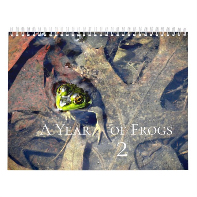 Ein Jahr der Frösche 2 Kalender (Titelbild)