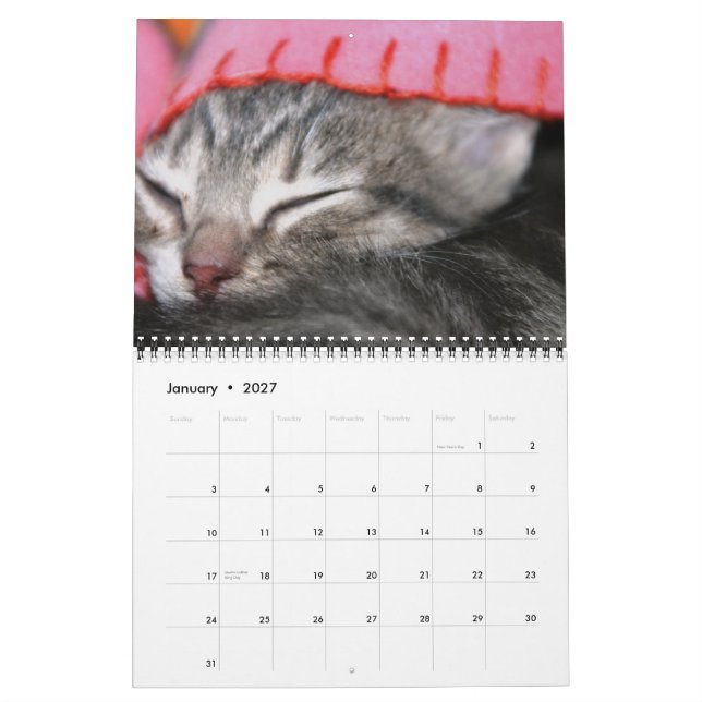 Ein Jahr der Fuzzybutten Kalender (Jan 2027)