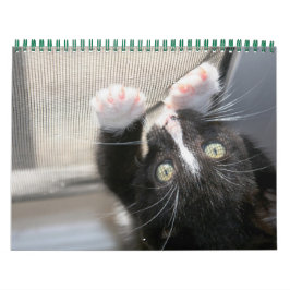 Ein Jahr der Fuzzybutten Kalender