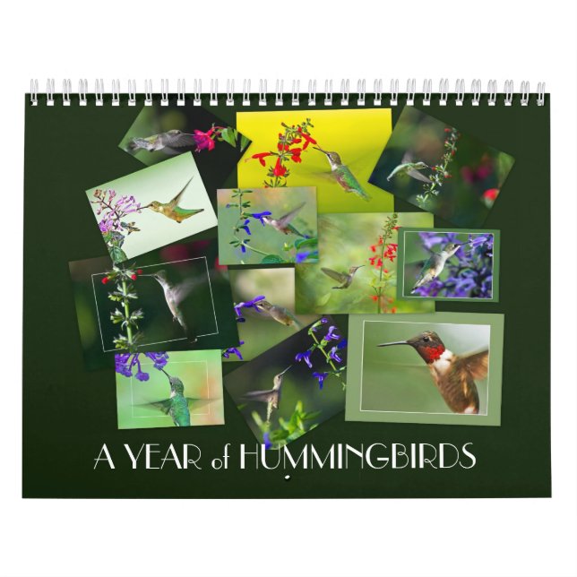 Ein Jahr der Humingvögel Kalender (Titelbild)