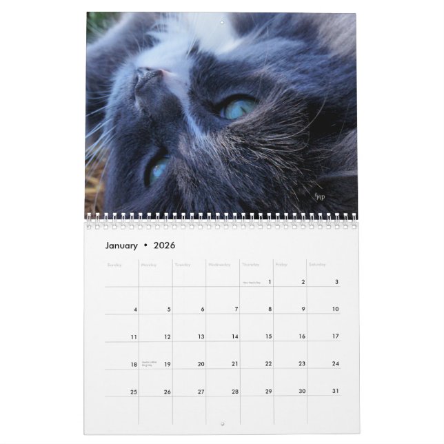 Ein Jahr der Katzen - fertigen Sie zu irgendeinem Kalender (Jan 2026)