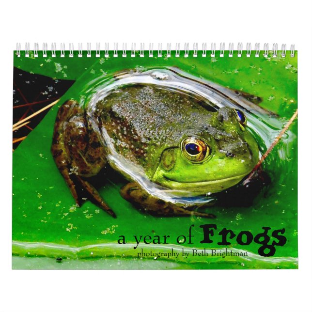 Ein Jahr des Froschkalenders Kalender (Titelbild)