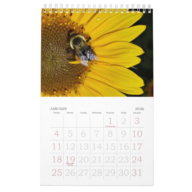 Ein Jahr des Kalenders der Sonnenblume-2013 Kalender (Jan 2026)