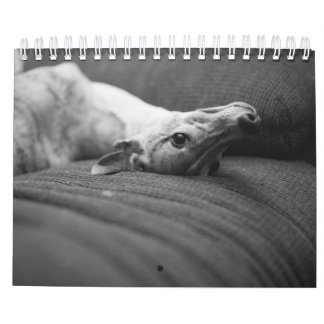 Ein Jahr im Leben von Enzo Kalender