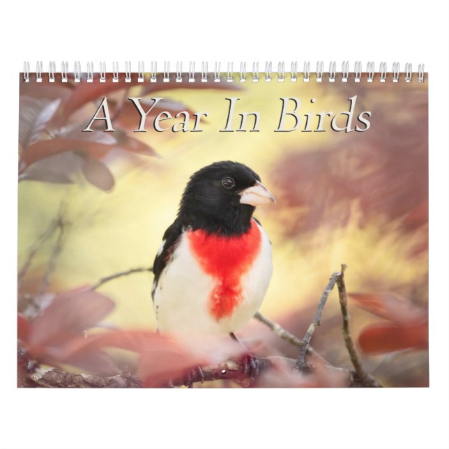 Ein Jahr im Vogelkalender Kalender (Titelbild)