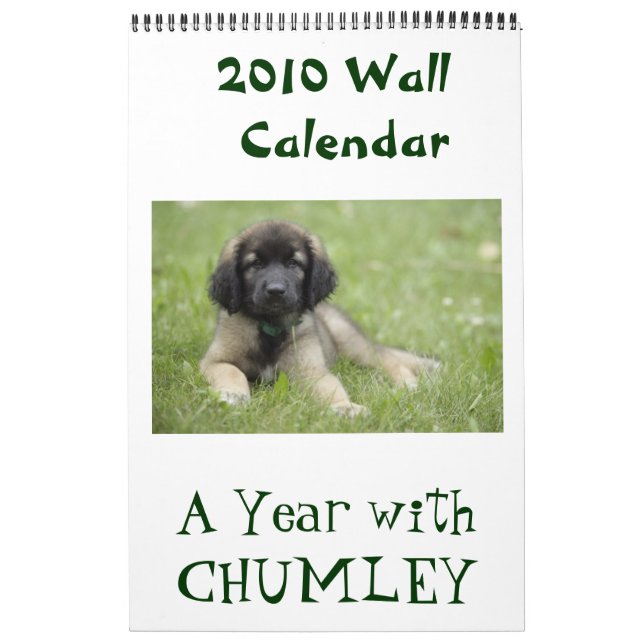 Ein Jahr mit Chumley 2010 Wandkalender (Titelbild)