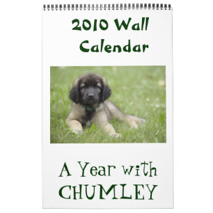 Ein Jahr mit Chumley 2010 Wandkalender