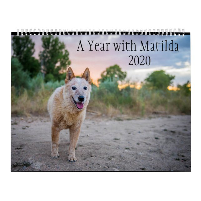 Ein Jahr mit Matilda:Kalender 2020 Kalender (Titelbild)