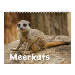 Ein Jahr mit Meerkats Kalender