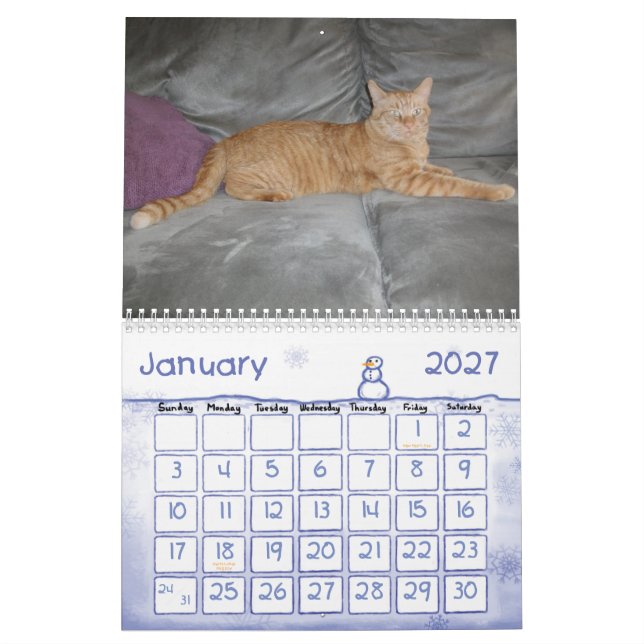 Ein Jahr mit Pokey Kalender (Jan 2027)