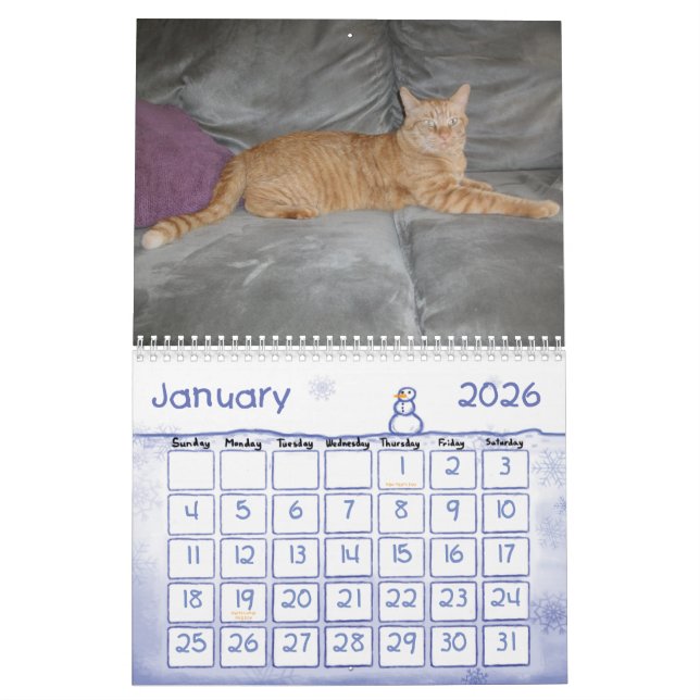 Ein Jahr mit Pokey Kalender (Jan 2026)