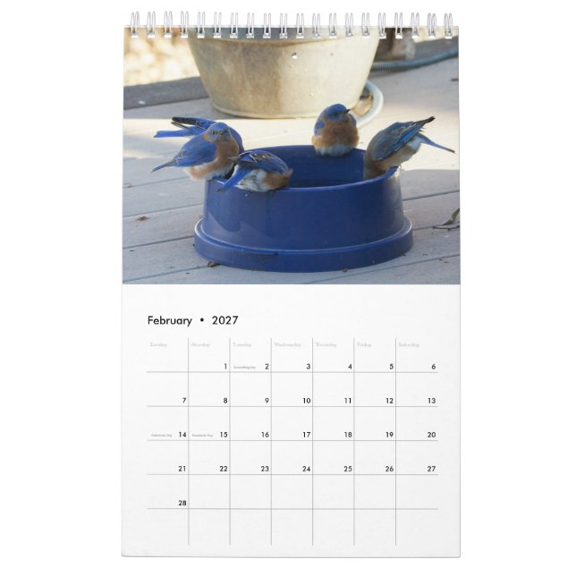 Ein Jahr voller Bluebirds Kalender (Feb 2027)