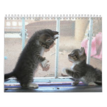 Ein Jahr von fuzzybutts