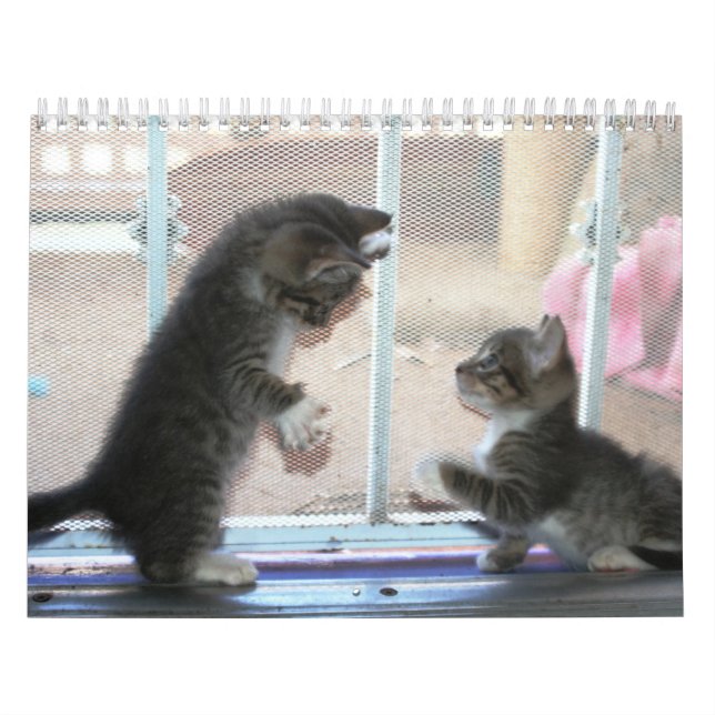 Ein Jahr von fuzzybutts Kalender (Titelbild)