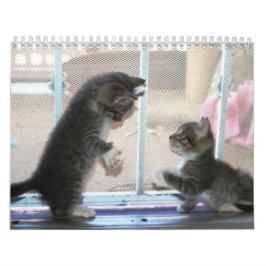 Ein Jahr von fuzzybutts Kalender