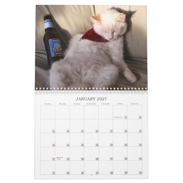 Ein Jahr von Ridiculousness Kalender (Jan 2027)