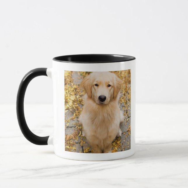 Ein Jährige golden retriever, Porträt Tasse (Links)