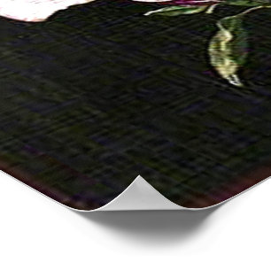 Ein japanisches Magnolia Poster