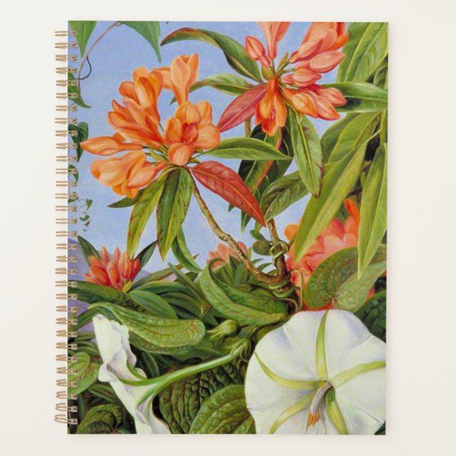 Ein Javanischer Rhododendrum und Ipomoea Planer (Vorderseite)