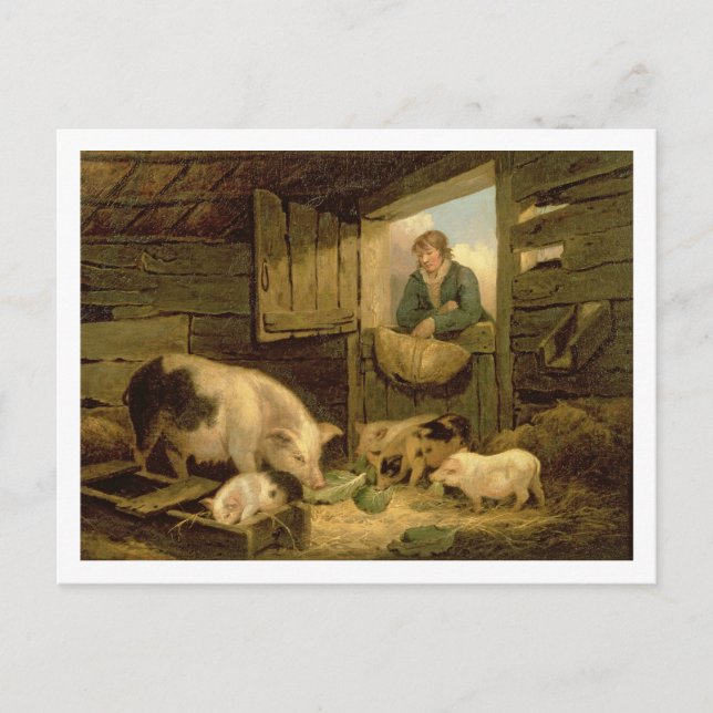 Ein Junge, der einen Schwein-Schweinestall, 1794 Postkarte (Vorderseite)