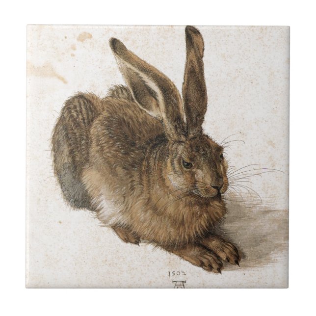 Ein junger Hase durch Albrecht Durer Fliese (Vorderseite)