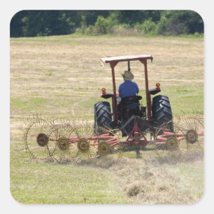 Ein junger Junge fährt einen Traktor zur Ernte Quadratischer Aufkleber