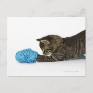 Ein junges Tabby-Kätzchen, das mit Wolle spielt. Postkarte