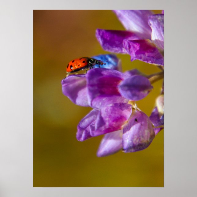 Ein Käfer-Leben. Poster (Vorne)