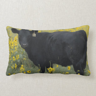 Ein Kalb inmitten der Sonnenblumen des Nebraska Lendenkissen