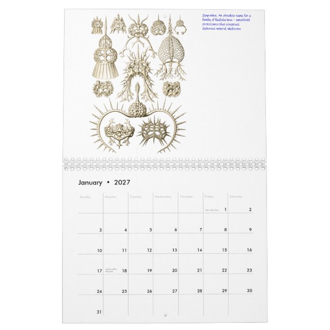 Ein Kalender der mikroskopischen Pflanzen und der (Jan 2027)