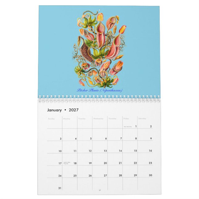 Ein Kalender der Pflanzen von Ernst Haeckel (Jan 2027)