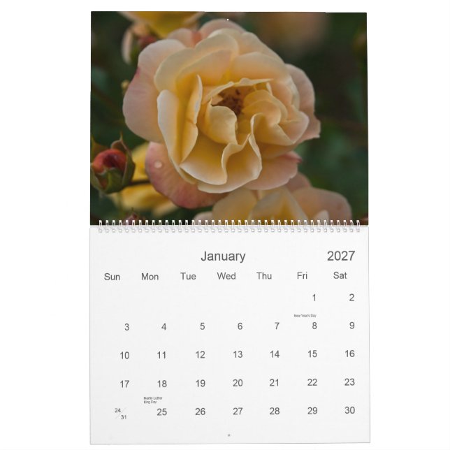 Ein Kalender des Rosen-Garten-2010 (Jan 2027)