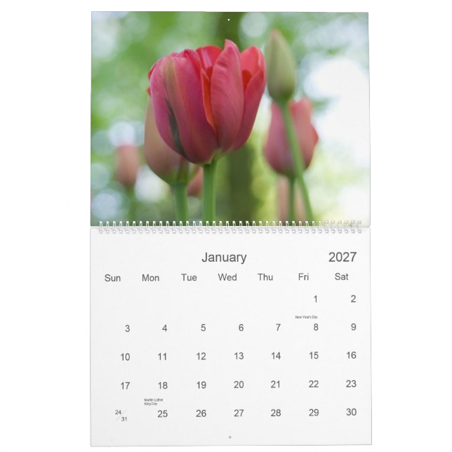 Ein Kalender des Tulpe-Garten-2009 (Jan 2027)
