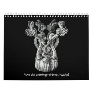 Ein Kalender von den Zeichnungen von Ernst